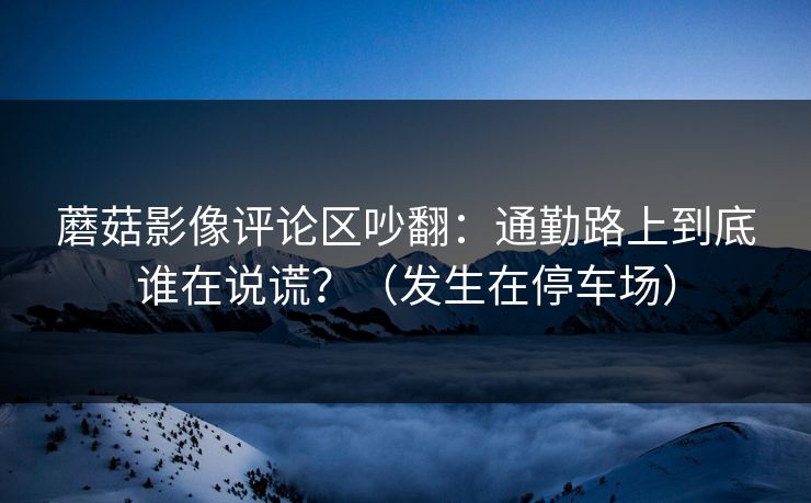 蘑菇影像评论区吵翻：通勤路上到底谁在说谎？（发生在停车场）
